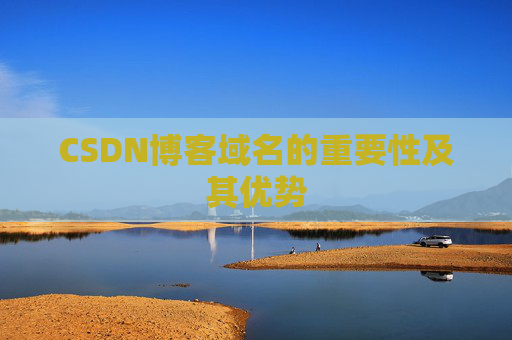 CSDN博客域名的重要性及其优势
